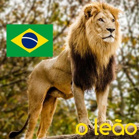 leão