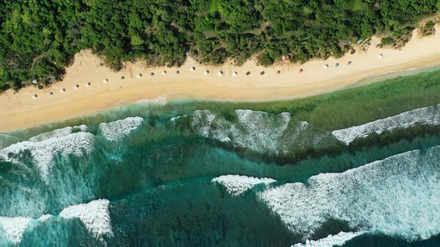Surf and shade - © Andriy Onufriyenko / Moment / Getty Images
