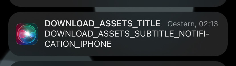 Push notification auf dem iPhone. Vom Symbol her von Siri. 

Titel:
DOWNLOAD_ASSETS_TITLE

Text:
DOWNLOAD_ASSETS_SUBTITLE_NOTIFICATION_IPHONE