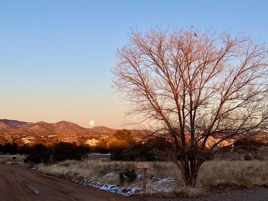 Full moon just above the mountains at sunset. A bald tree and a mailbox in the foreground. There’s a bird perched on the tip of the tree.