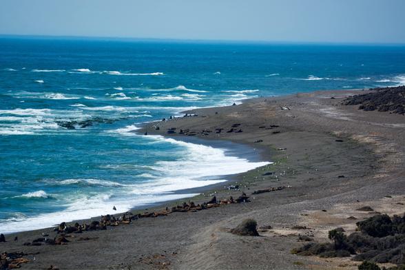 View at the Patagonian coast