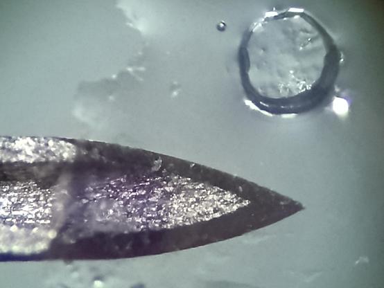 400μm diameter circle with perimeter and faint infill top right. Solidifed flood of resin progresses right to left, approx 80%. Resin is supported on the hollow end of a hypodermic needle, 500μm diameter entering horizontally bottom left.