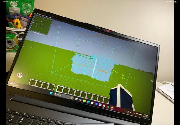 My litematica schematic has no colour