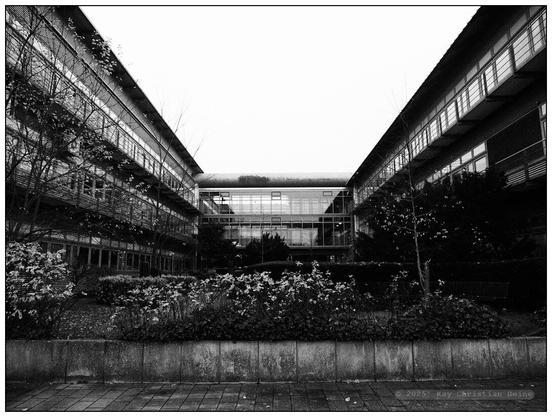 Zwei mehrstöckige, moderne Bürogebäude mit großen Fensterfronten bilden einen mit Sträuchern und kleinen Bäumen bepflanzten Innenhof. der Boden im Vordergrund ist gepflastert. Die Gebäude sind symmetrisch angeordnet und durch einen gläsernen Gang im oberen Bereich verbunden.