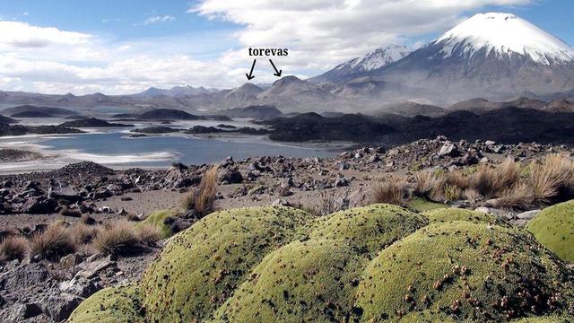 Le lac Cotacotani et le volcan Parinacota, au Chili. Deux torevas sont indiqués au pied de l’édifice ; les autres blocs, coniques ou arrondis, sont plus petits et lointains et donc considérés comme des hummocks. Ce dépôt d’avalanche de débris provient d’un effondrement partiel du volcan. Photo CC BY-NC-SA Cobi.