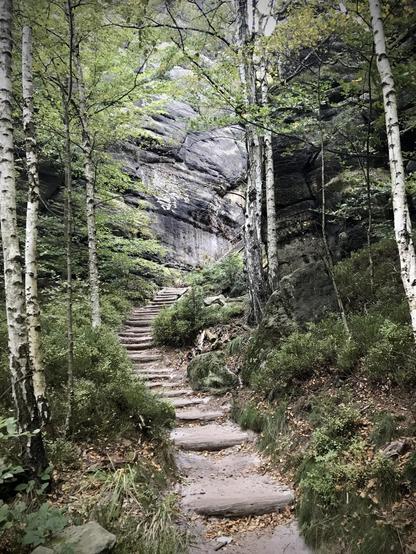 Ein bewaldeter Weg mit Holzstufen führt nach oben durch einen Wald mit grünen Bäumen und üppigem Laub. Eine große Felsformation ist im Hintergrund sichtbar, umgeben von lebendigem Grün.
