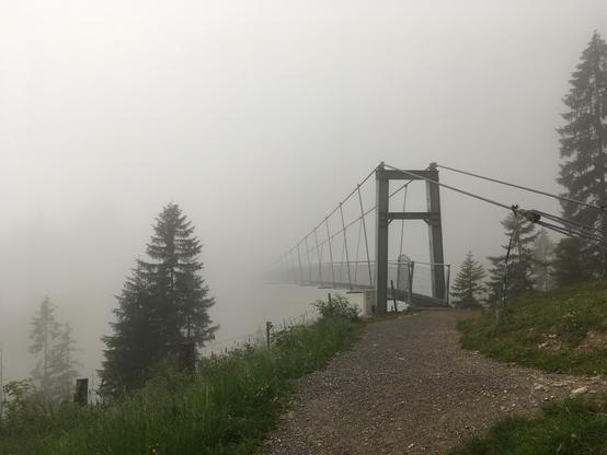 Wanderweg hin zu einer Hängebrücke, die im Nebel verschwindet, links und rechts Nadelbäume
