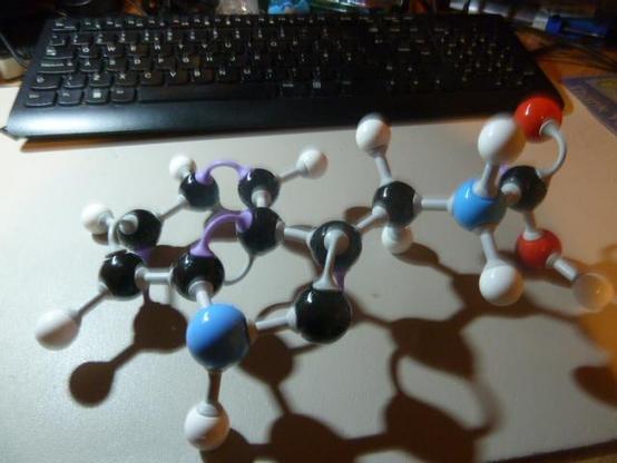 Model of Tryptophan