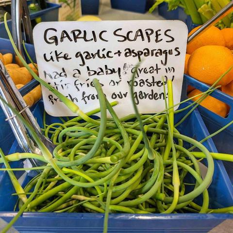 A bucket of scapes with an explainer at the Distro: (garlic scapes like garlic & asparagus had a baby! Great in stir fries or roasted! Fresh from our garden!)
