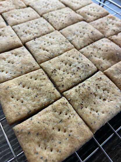 Golden sourdough discard crackers peppered with herbs, poppy seeds and fork indentations.
