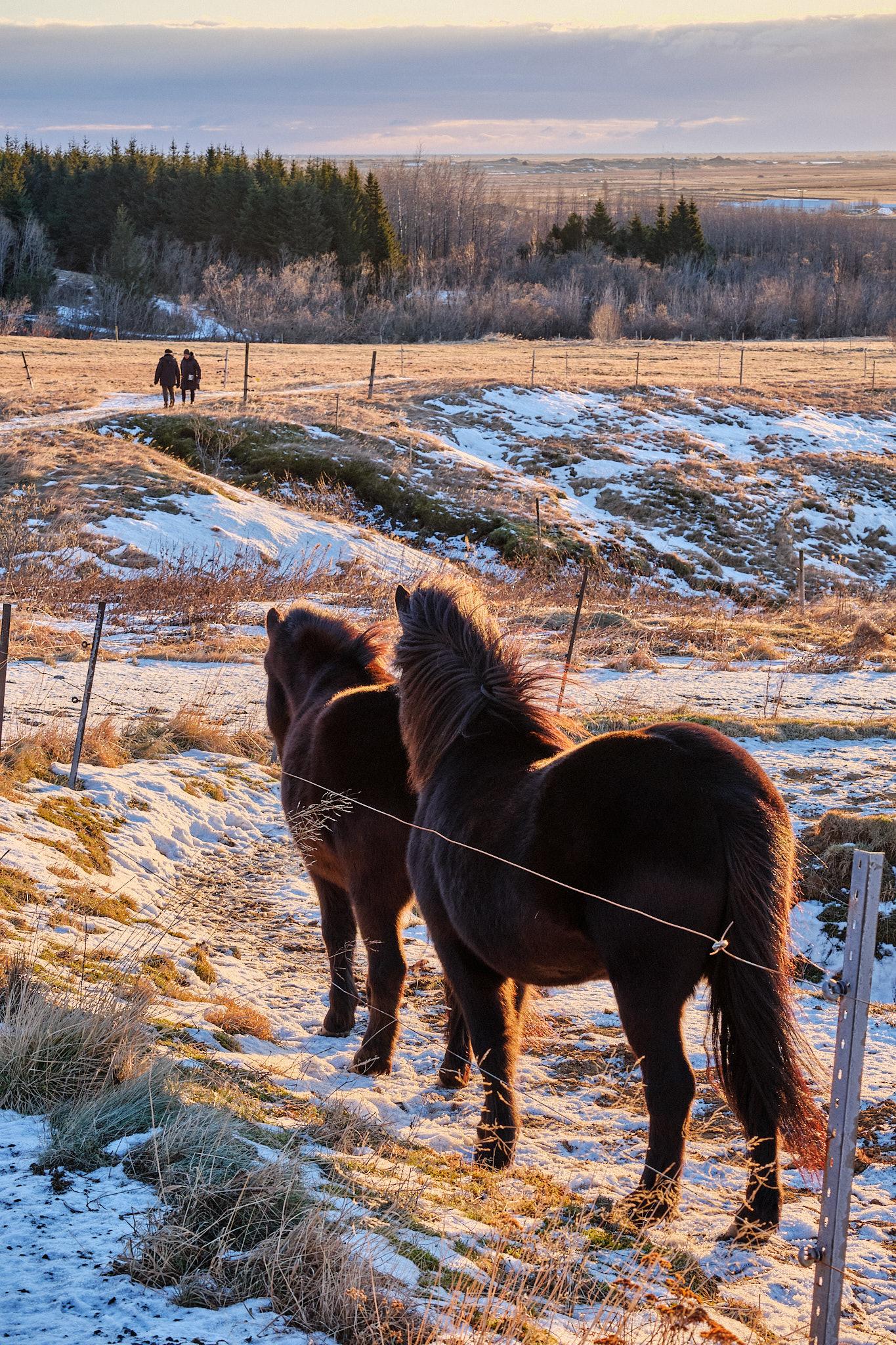Two horses in the foreground are watching two people walk in the distance. Scattered snow covers much of the landscape.