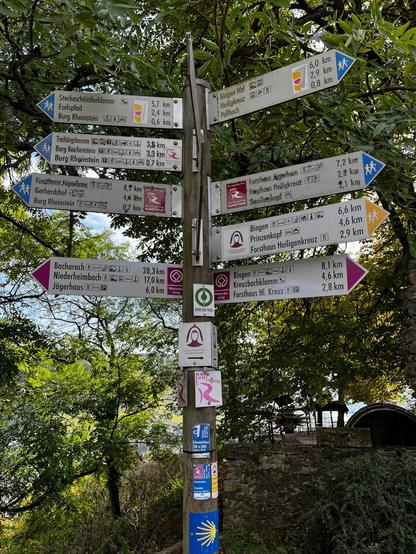 Ein Schild mit verschiedenen Wanderwegen und Entfernungen zu Orten wie Burg Rheinstein, Bingen und Forsthaus Heiligenkreuz, umgeben von viel Grün.