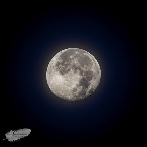 Full moon in a dark sky.