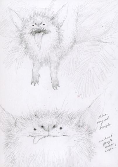 drawings of a fluffy cat-like creature with a big nose and wide apart eyes and rows of sharp teeth