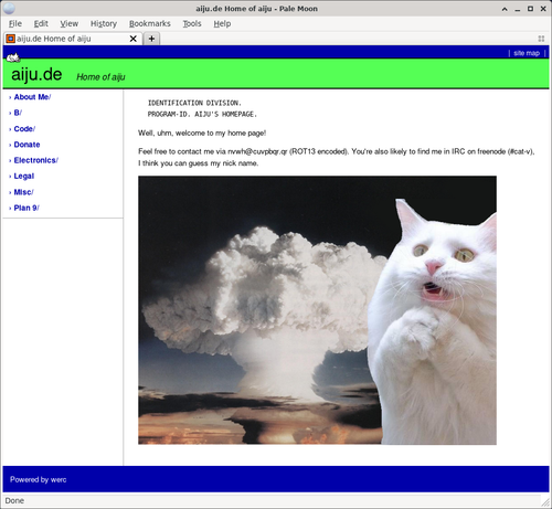 Screenshot of the website under aiju.de