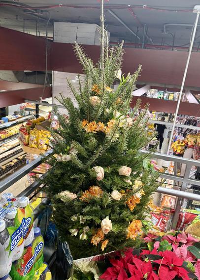 Longer shot, showing the tree on a landing and the grocery store aisles below.