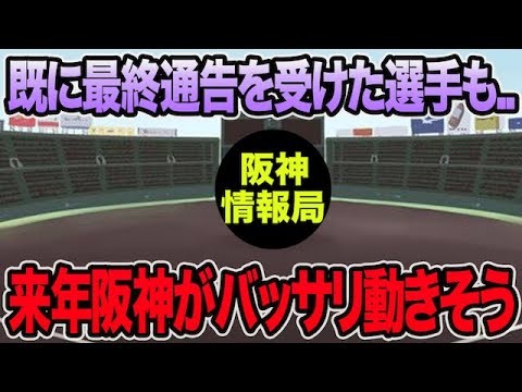 【既に最終通告を受けた選手も..】来年で阪神が育成選手をバッサリ整備しそうな件について【阪神タイガース】