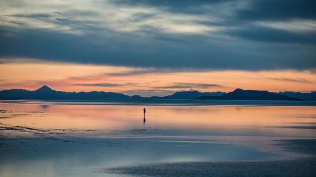 Water walker? - © Cavan Images / Cavan / Getty Images