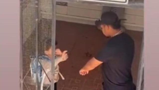 El juez de Vera envía a prisión, sin fianza, a la pareja sentimental y a la madre, investigados por asesinato y maltrato habitual