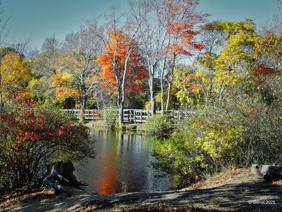 A serene autumn scene with vibrant red, orange, and yellow trees reflected in a pond. A wooden bridge crosses the water, enhancing the tranquil atmosphere.