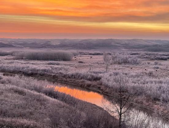 Orange-yellow pastel sky above frosty gray endangered Parkland habitat of shrubby grasslands and glacial till swales with the Battle River reflecting the sky.  Photo at the former Buffalo National Park that was closed to become a military base for WW2.