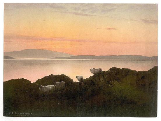 The image depicts a serene landscape at what appears to be either sunrise or sunset, as indicated by the warm hues in the sky transitioning from a soft orange to a pale blue. The sky is mostly clear with a few scattered clouds, adding depth to the scene. In the foreground, there are four sheep grazing on a grassy, hilly terrain. The sheep are white and fluffy, contrasting with the darker green of the grass. The background features a calm body of water, possibly a lake or a sea, reflecting the colors of the sky. Beyond the water, there are faint outlines of distant land or hills, adding to the sense of vastness and tranquility. The overall atmosphere is peaceful and idyllic, evoking a sense of calm and natural beauty.