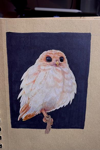 Die Eule, beinahe fertig, vor schwarzem Hintergrund. Sie sieht was fotorealistisch aus wenn ich das mal so sagen darf höhö