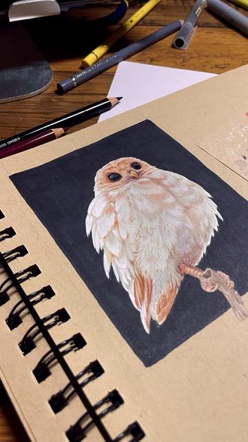 Das Bild aus einem anderen Winkel von der Seite, ein paar highlights sind schon am Rand der Eule gesetzt.