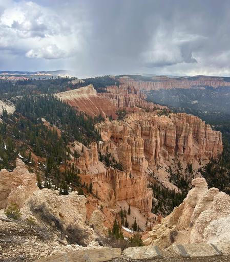 Complex landscape of Bryce Canyon, with rain clouds and dark skies dominating the top one-third of the image, very far distant mountains, evergreen trees edging the left frame, behind the curve of an expansive(miles long) line of hoodoo structures, which fills the midpoint of the picture. The foreground shows lighter-colored rock overlooking the start of the pinkish eroded formations.