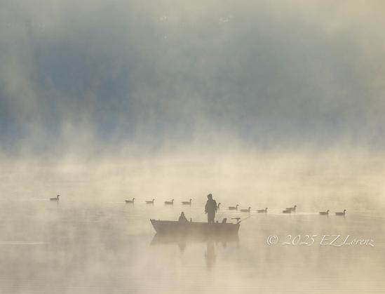A solitary figure stands in a boat on a misty, foggy lake, surrounded by peaceful Canada Geese, creating a serene and ethereal atmosphere.