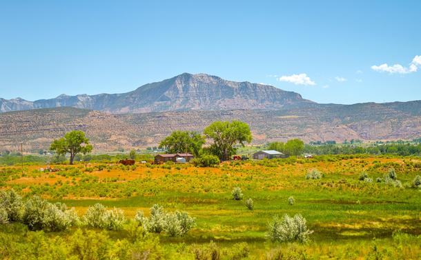 A majestic rocky mountain is seen in the distance, behind a bucolic and lush field with some houses and trees