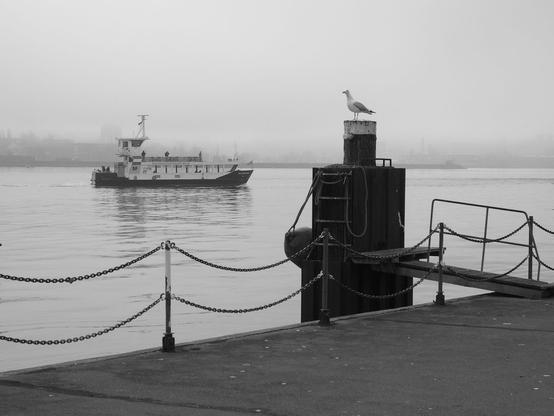 A harbour with a ship and a seagull sitting on a pole