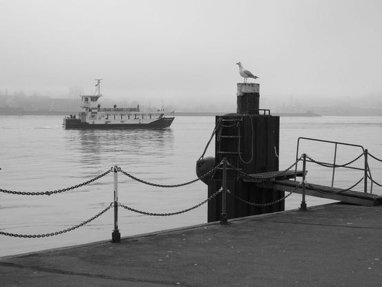 A harbour with a ship and a seagull sitting on a pole