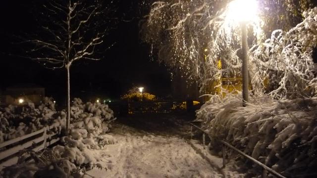 Photo souvenir du jour.