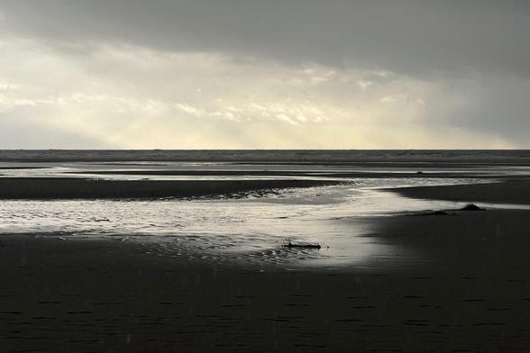 Das Wattenmeer bei Ebbe auf Amrum. Dicke Regenwolken ziehen über den Himmel, alles ist grau-braun, dunkel und mulschig. Im Vordergrund Strand mit Restwasser, am Horizont ein leichter Schimmer.

The Wadden Sea at low tide on Amrum. Thick rain clouds drift across the sky, everything is grey-brown, dark and gloomy. In the foreground, the beach with residual water; on the horizon, a faint glimmer.
