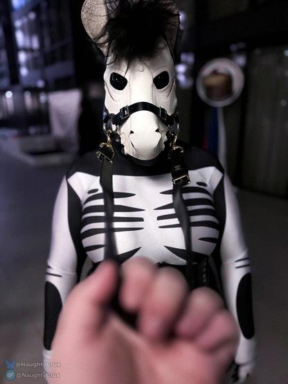 A skeleton pony player being pulled by reins