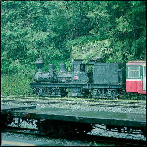 A vintage steam locomotive numbered 12 sits on railway tracks beside a red and green passenger car, surrounded by dense green forest. The foreground shows blurred train cars, suggesting motion. The scene has a nostalgic, slightly faded quality with rich green tones dominating the lush vegetation.