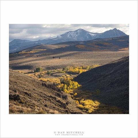 High desert aspens and Sierra peaks