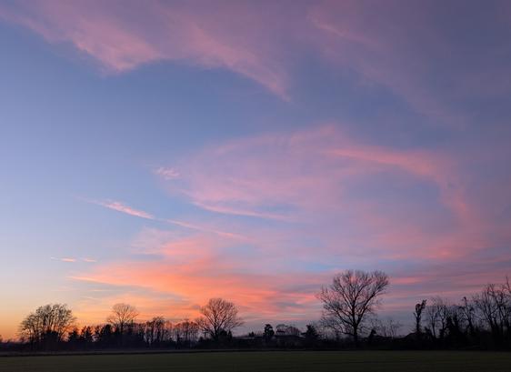 Il tramonto nell'immagine è uno spettacolo naturale vibrante, caratterizzato da un'esplosione di colori caldi che sfumano delicatamente verso l'alto nel cielo blu.
La parte inferiore del cielo è dominata da intense tonalità di rosa e arancione, quasi come un "cielo infuocato". Questi colori si mescolano e si attenuano man mano che si sale, lasciando il posto a un sereno azzurro e, nelle zone più alte, a toni leggermente violacei. Questo gradiente crea un effetto visivo calmante e suggestivo.
Sottili e allungate nuvole (probabilmente cirri o altocumuli) catturano e riflettono la luce radente del sole, amplificando la luminosità delle sfumature rosa e arancioni. Le loro forme sinuose aggiungono dinamismo al cielo.
Paesaggio: In contrasto con i colori accesi del cielo, il paesaggio in basso è scuro, con la silhouette nitida di alberi spogli e campi che si stagliano contro l'orizzonte luminoso.