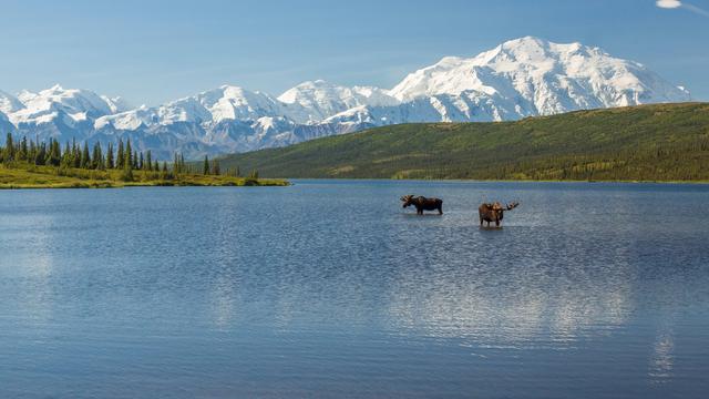 Weighty waders - © mtnmichelle / iStock / Getty Images Plus