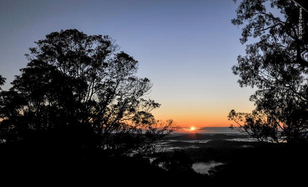 The silhouettes of two large trees dominate a sunrise landscape. The sun is a small orange dot on a clouded horizon, although the rest of the sky is a cloudless graduated blue. White mist fills all the valleys below, visible only because of the whiteness in otherwise dark hills and valleys.
