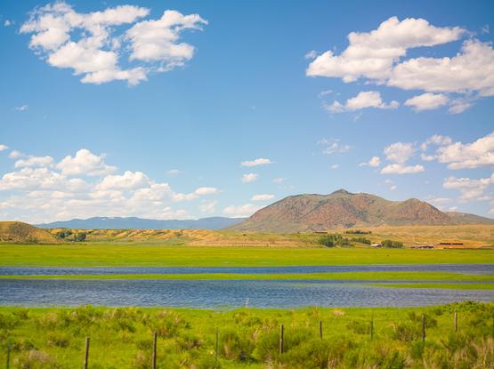 Looking across a calm and blue Colorado River that has some green marshes in it. Across the river is a green plain and a mountain mostly made of red soil and rocks. Partially cloudy.