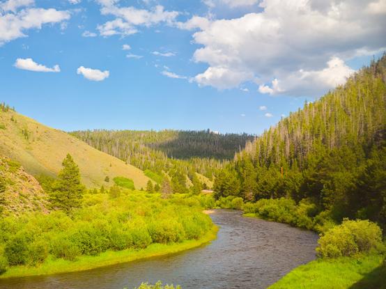 A medium sized river curves through the mountains. On the left is a green grassy hill. On the right is a mountain with pine forest. Partially cloudy.