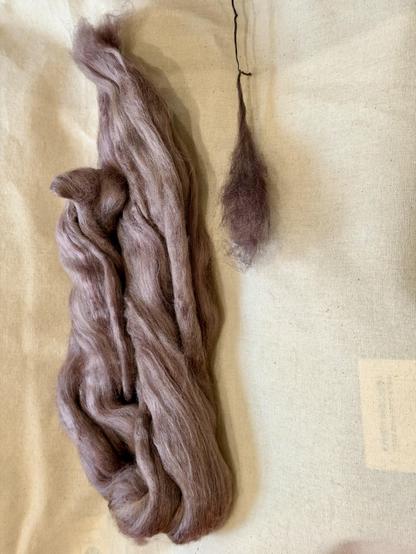 Right, day 1 - purplish brown fluff attached to a spun single. Left, day 2, a sort of pinkish combed top of Haunui wool and mulberry silk. Waiting to be spun.