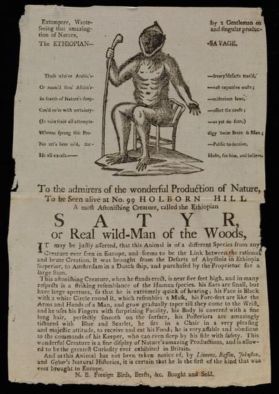 A broadside showing a primate sitting on a chair and holding a long cane. Text on either side styled a bit like a poem in its layout; detailed description underneath.