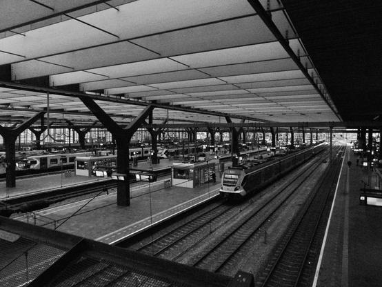 Vue en noir et blanc des voies de la gare de Rotterdam-Centraal avec une rame arrêtée à quai en premier plan et une autre visible plus loin en arrière-plan. Les voies sont couvertes.

Black and white photo of the tracks in Rotterdam-Centraal with an EMU at platform in the foreground, another one is visible in the background. The tracks are covered.