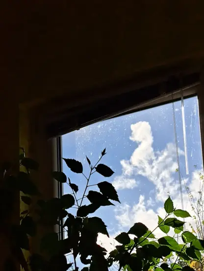 A corner of a window is visible. The window is more towards the lower right. Leaves of a tree can be seen in the window. Above is a blue sky. A cloud formation is visible. It could be that a dog is standing on its hind legs.