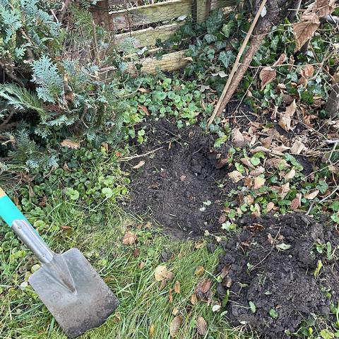 Aushub im Garten für Igelschnecke