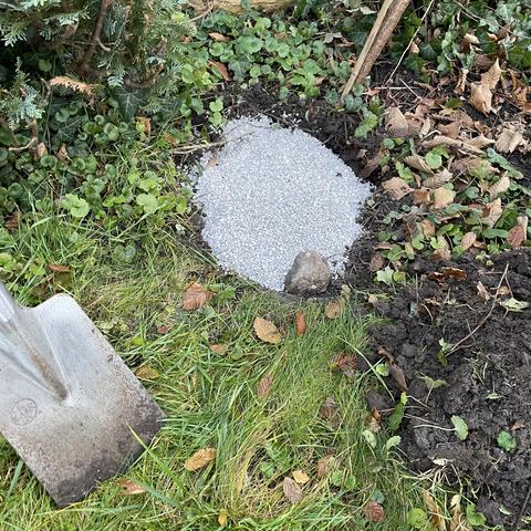 Kiesbett für Igelschnecke