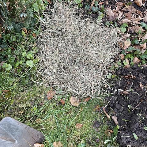 Heu als Zwischenlage